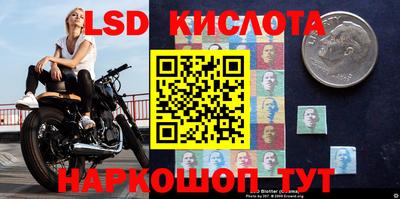 альфа пвп VHQ Гай