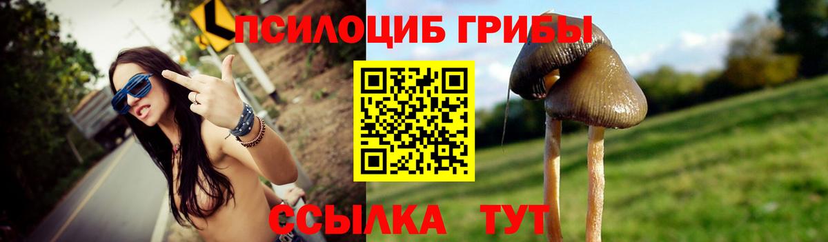 Галлюциногенные грибы GOLDEN TEACHER Отрадное