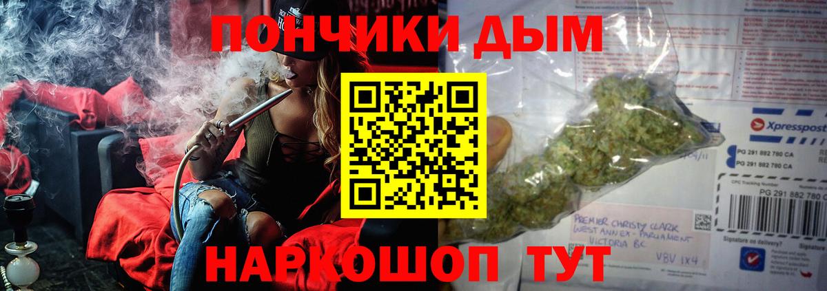 Конопля LSD WEED  Канабис гибрид  Отрадное  Вход с VPN  Канабис планчик 